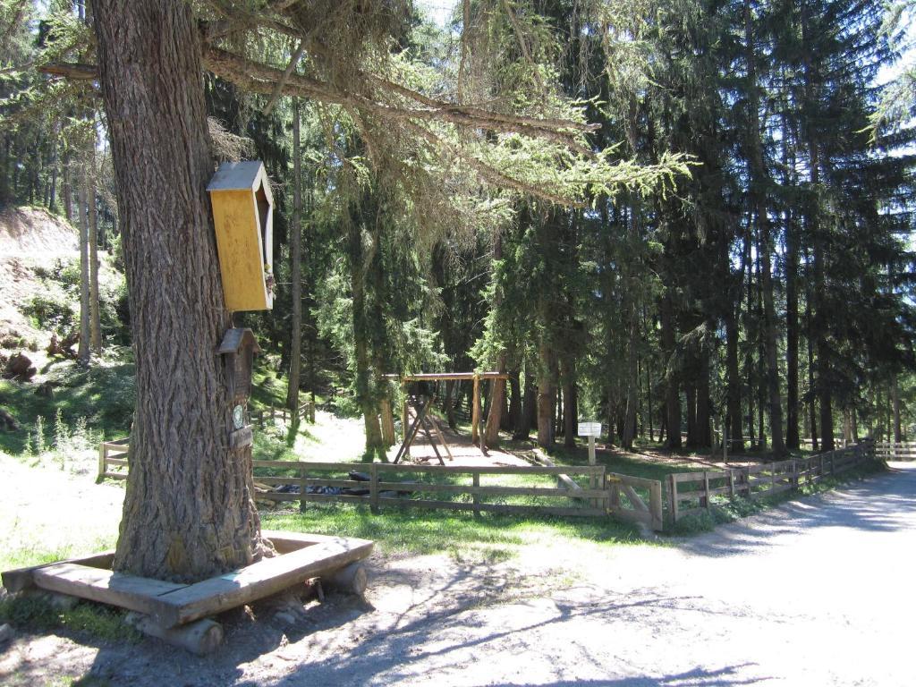 Appartamento Haus Susi Imsterberg Esterno foto